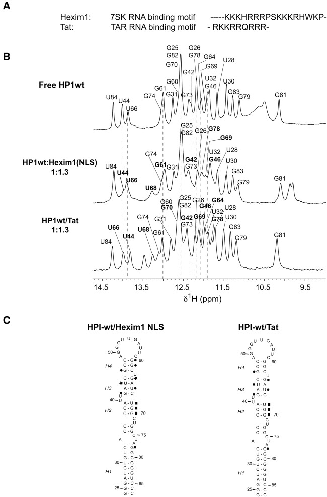 FIGURE 7.