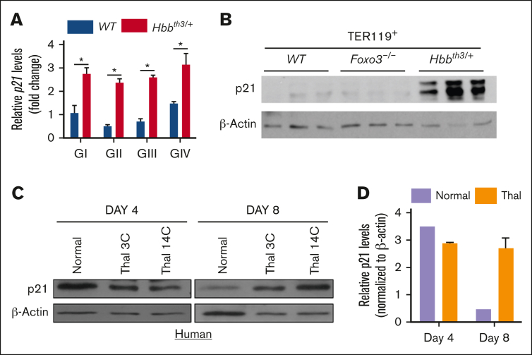 Figure 3.