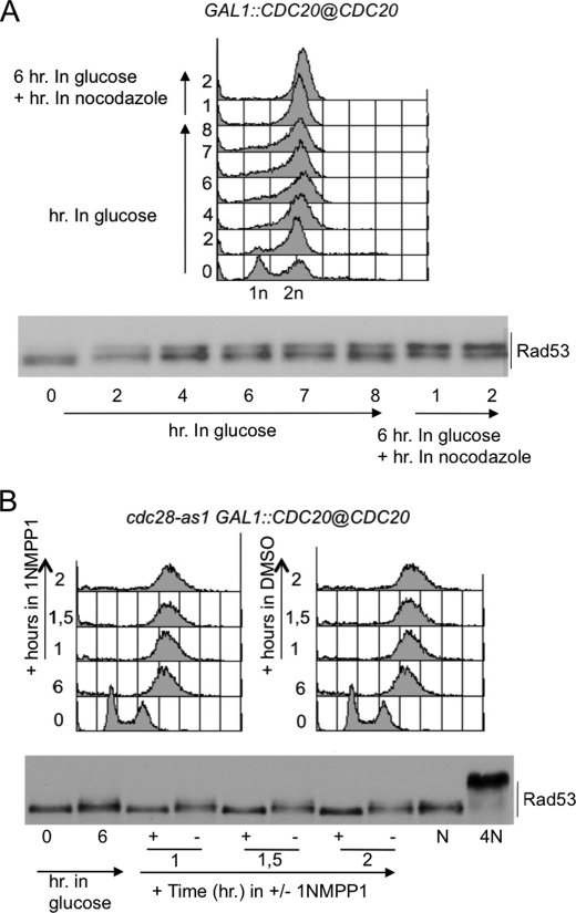 FIGURE 4.