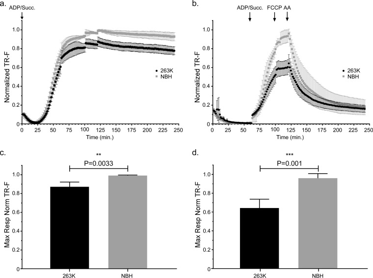 FIG 3