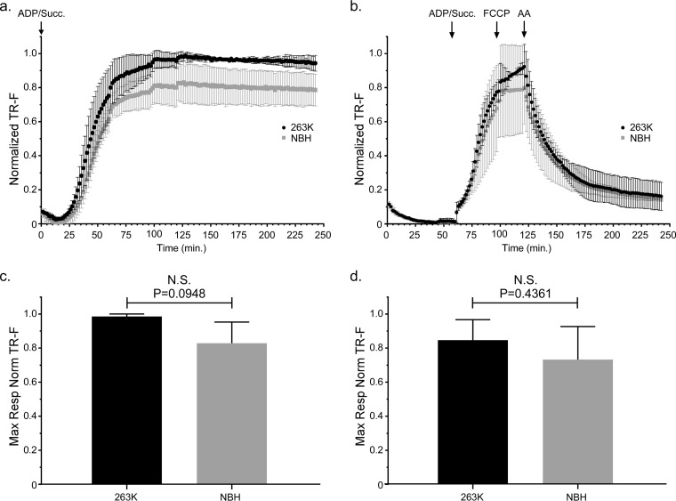 FIG 2