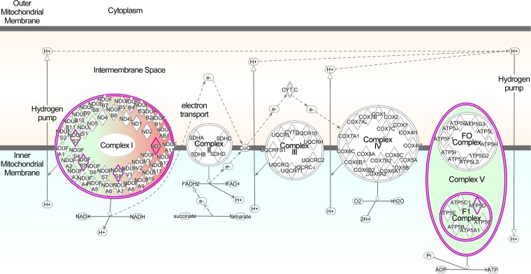 FIG 6