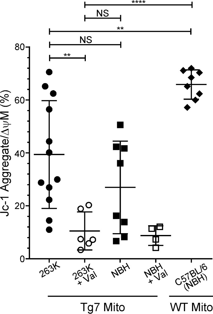 FIG 5