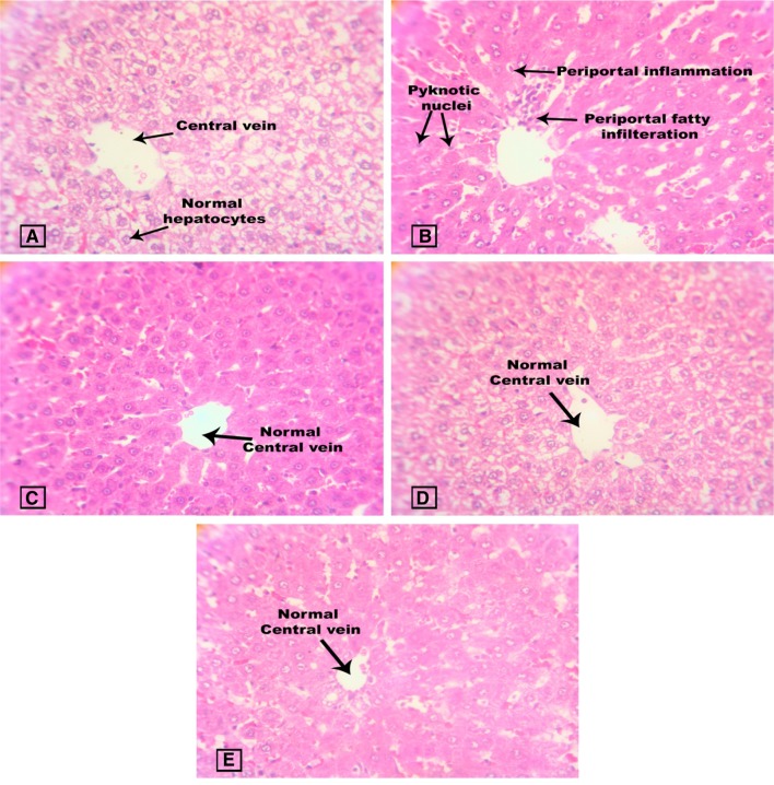 Fig. 9