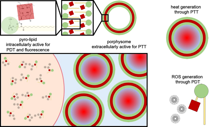 Figure 1: