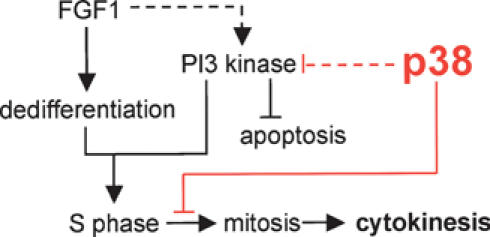 Figure 9.