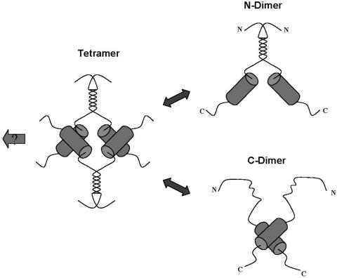 FIG. 9.