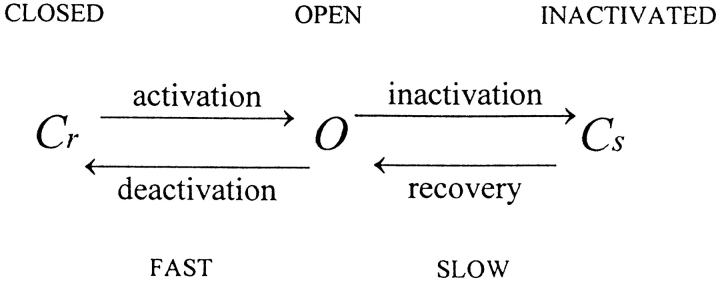 Scheme I