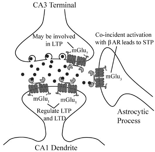 Fig. (1)