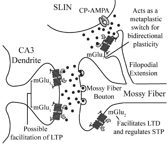 Fig. (2)