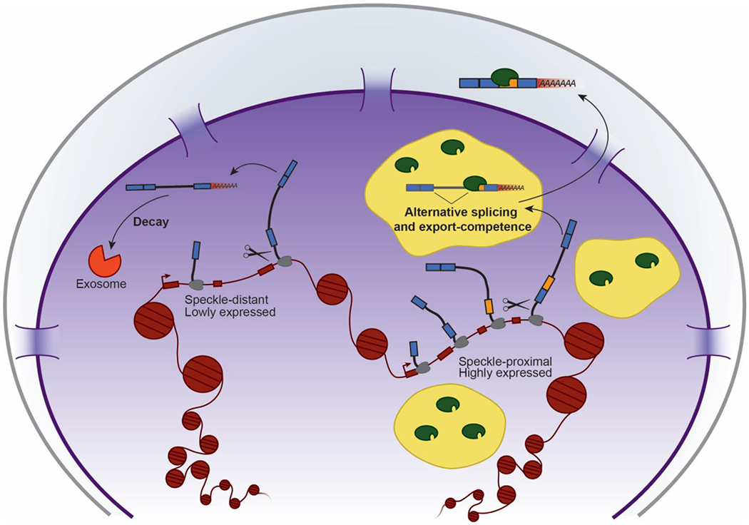 Figure 4: