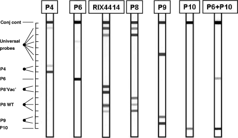 FIG. 2.