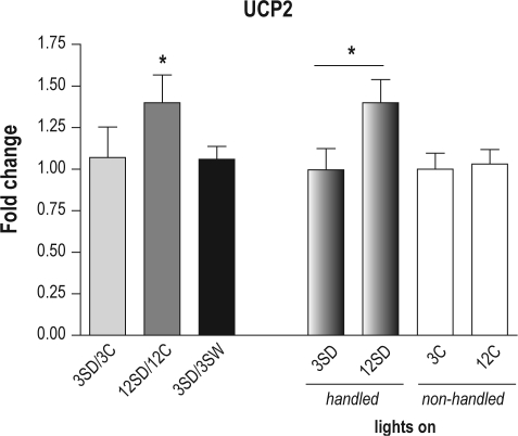 Figure 4B