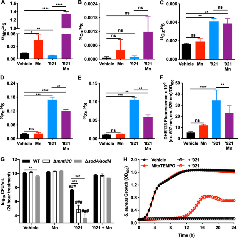 FIG 3