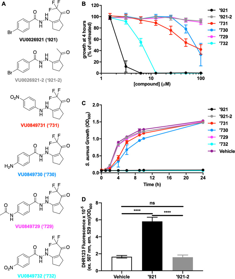 FIG 6