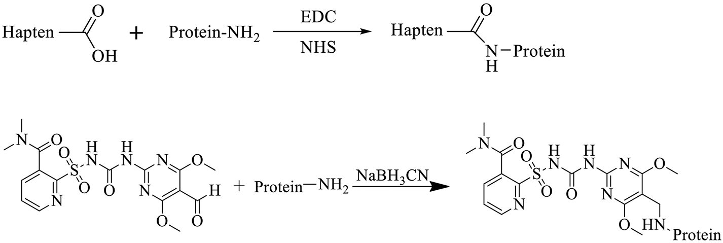 Scheme 2.