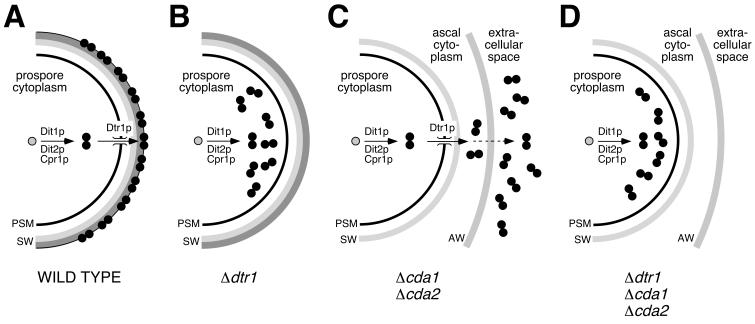 FIG. 9.