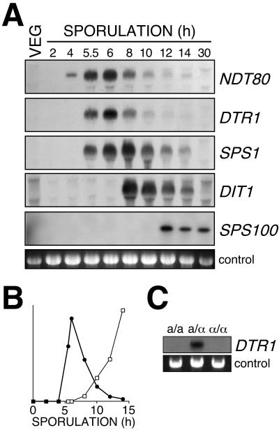 FIG. 5.