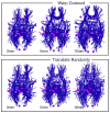 Fig. 11