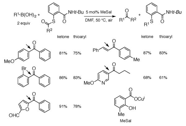 Scheme 204