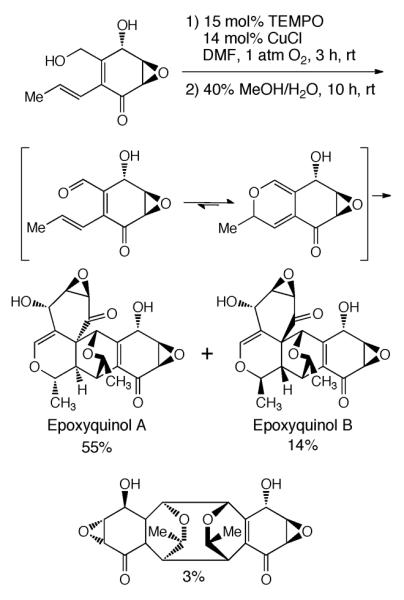 Scheme 228