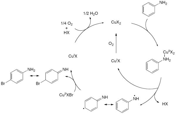 Scheme 540