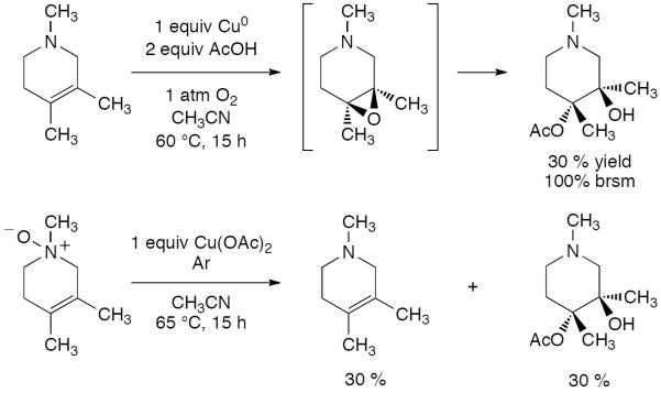 Scheme 29