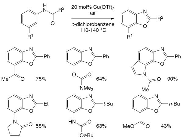 Scheme 120