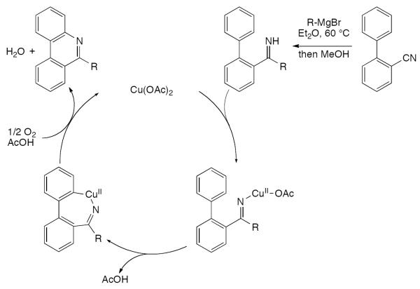 Scheme 115