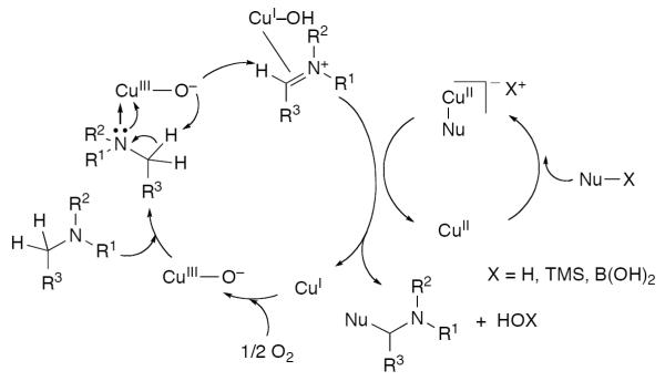 Scheme 554