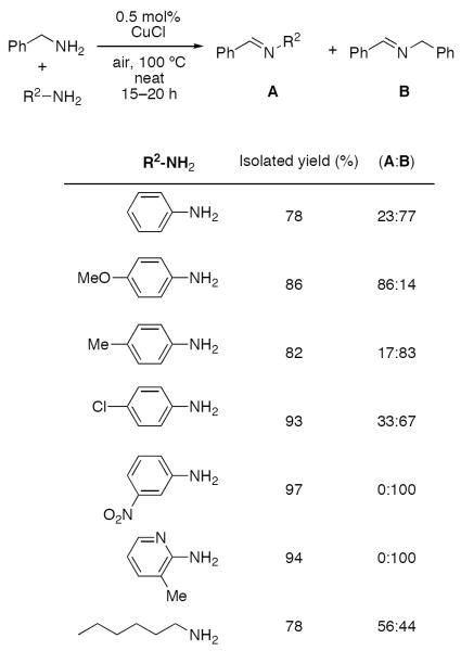 Scheme 570