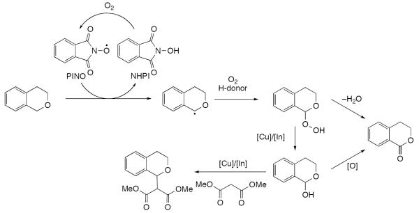 Scheme 624