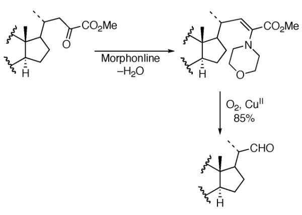 Scheme 354