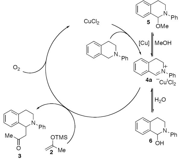 Scheme 557