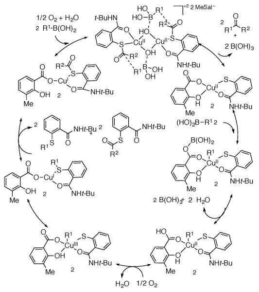 Scheme 205