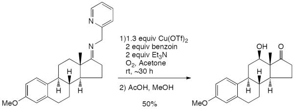 Scheme 20