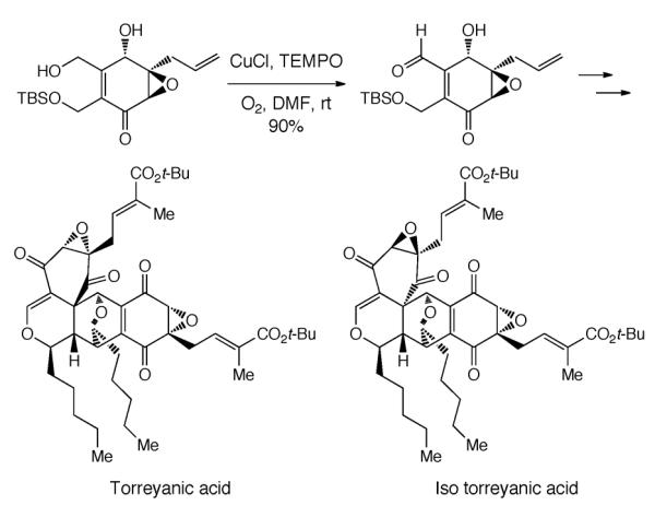 Scheme 232