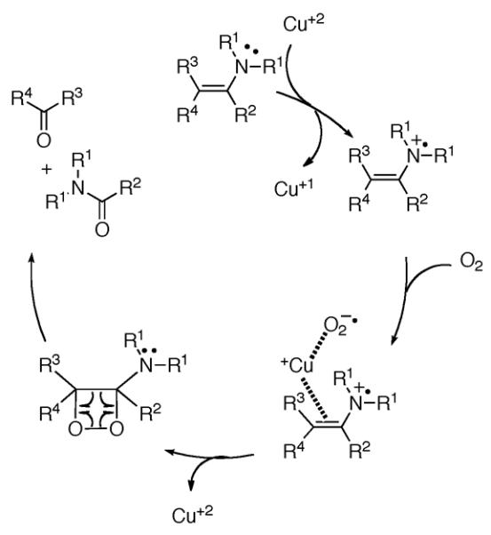 Scheme 352