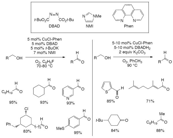 Scheme 239