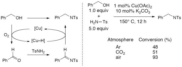 Scheme 262