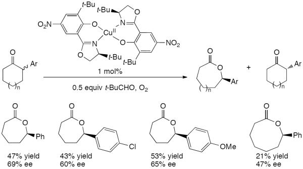 Scheme 304