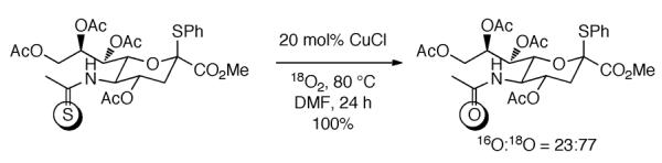 Scheme 340