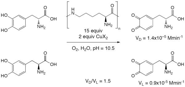 Scheme 454