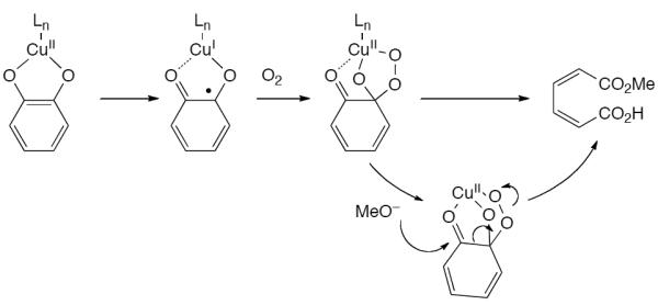 Scheme 460