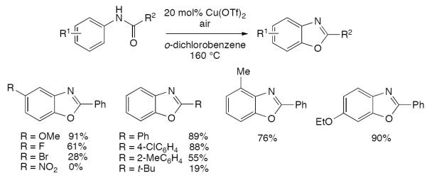 Scheme 119