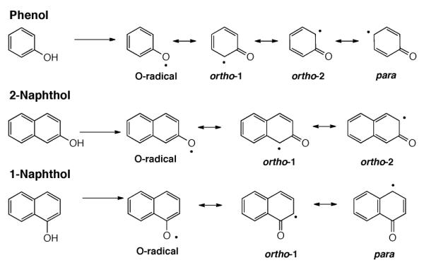 Scheme 366