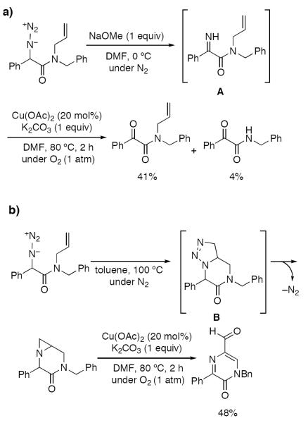 Scheme 619