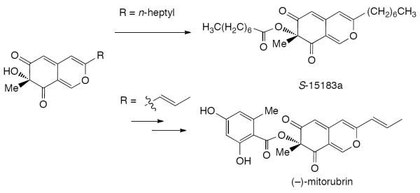 Scheme 495