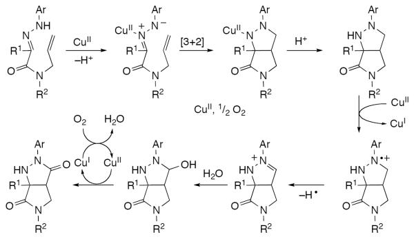 Scheme 592