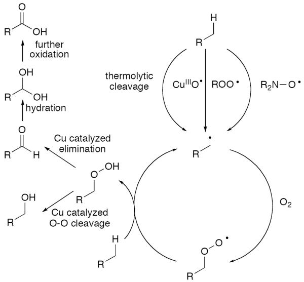 Scheme 6